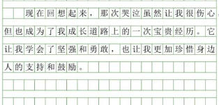 
                                    按规章制度办事的谚语-按规办事