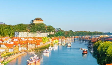 
                                    小白兔的作文怎么写呀-小白兔作文写法